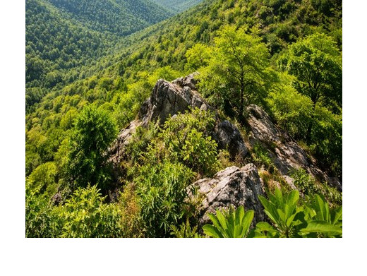 अरावली विवाद पर सुप्रीम कोर्ट का ब्रेक, विशेषज्ञ समिति गठित करने के निर्देश 